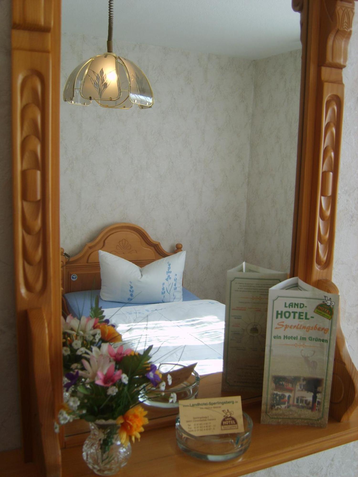 Crimmitschau Landhotel Sperlingsberg מראה חיצוני תמונה